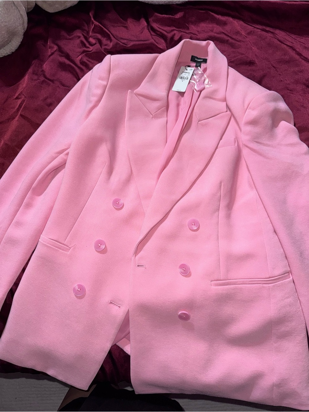 Express Pink Double-Breasted Blazer